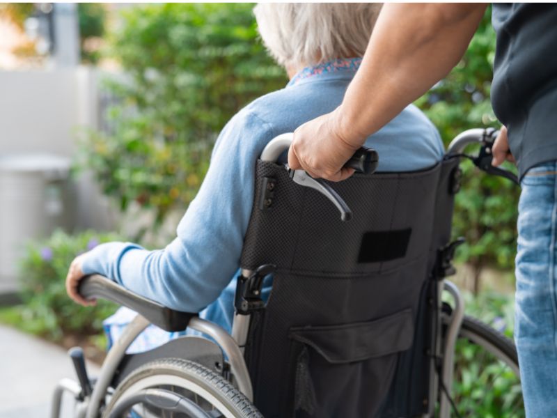 Aged Care Pest Control